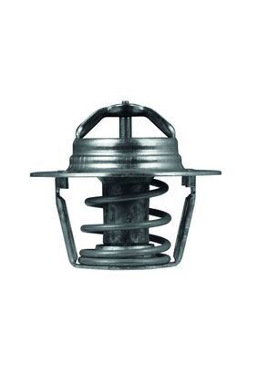 Termostatas, aušinimo skystis MAHLE TX 91 89D