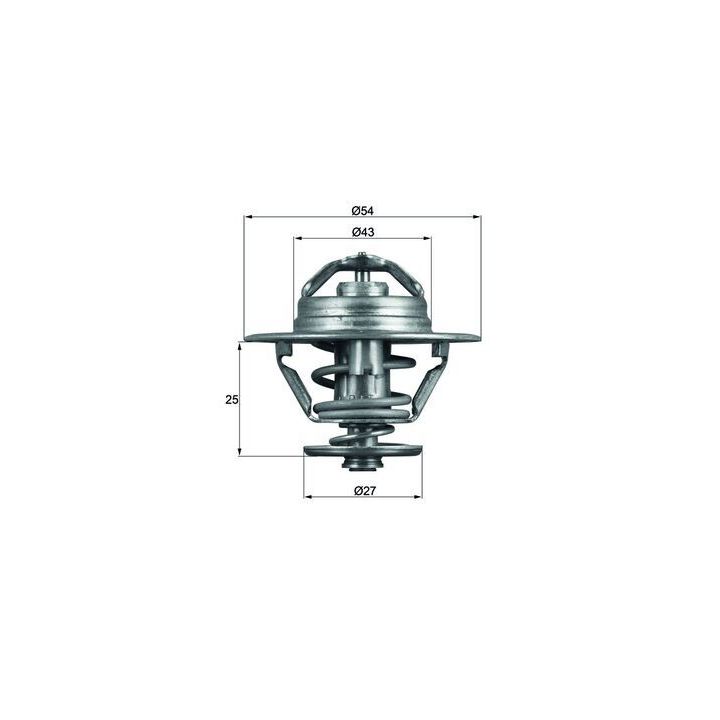 Termostatas, aušinimo skystis MAHLE TX 93 74D