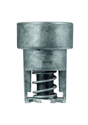 Termostatas, aušinimo skystis MAHLE TX 98 82