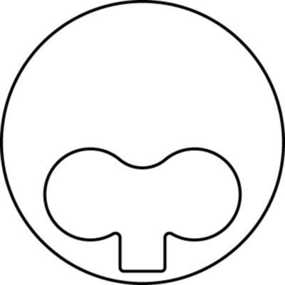 Stūmoklis MAHLE 009 38 01