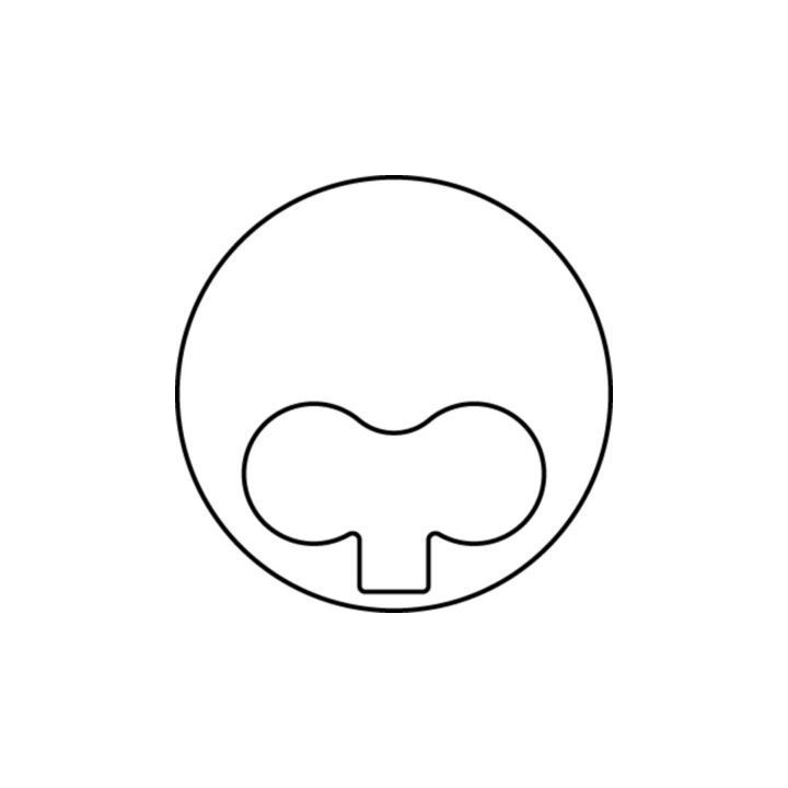 Stūmoklis MAHLE 013 PI 00101 000