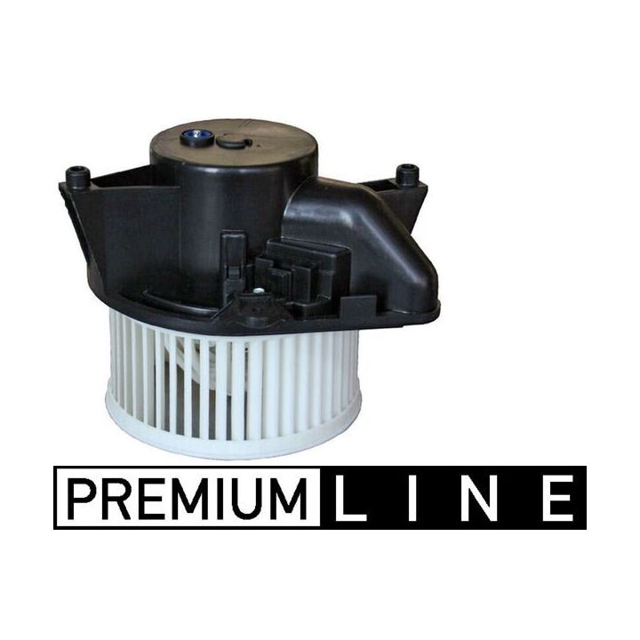 Vidaus pūtiklis MAHLE AB 161 000P