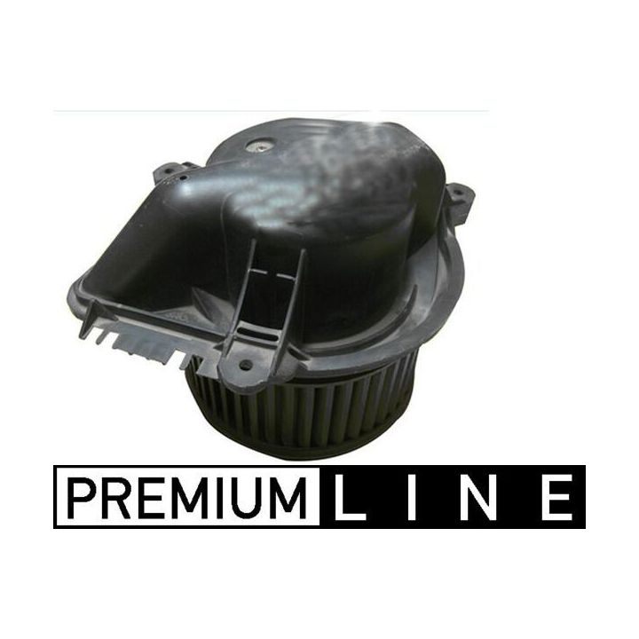 Vidaus pūtiklis MAHLE AB 166 000P