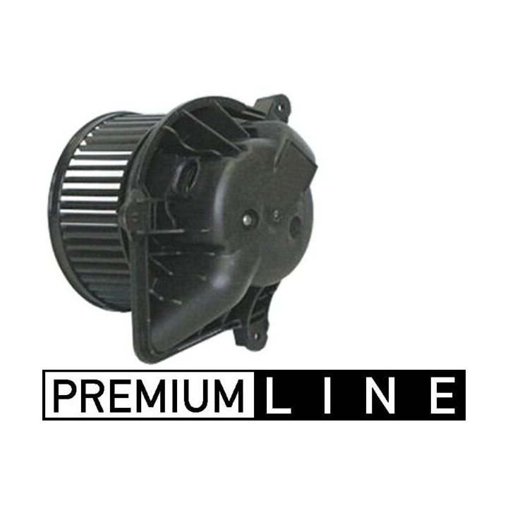 Vidaus pūtiklis MAHLE AB 168 000P