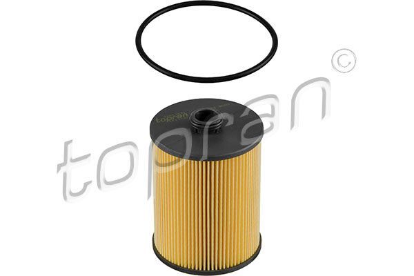 Alyvos filtras TOPRAN 113 784