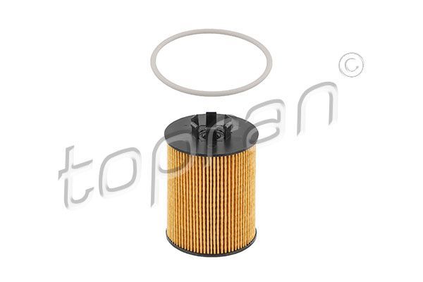 Alyvos filtras TOPRAN 205 209