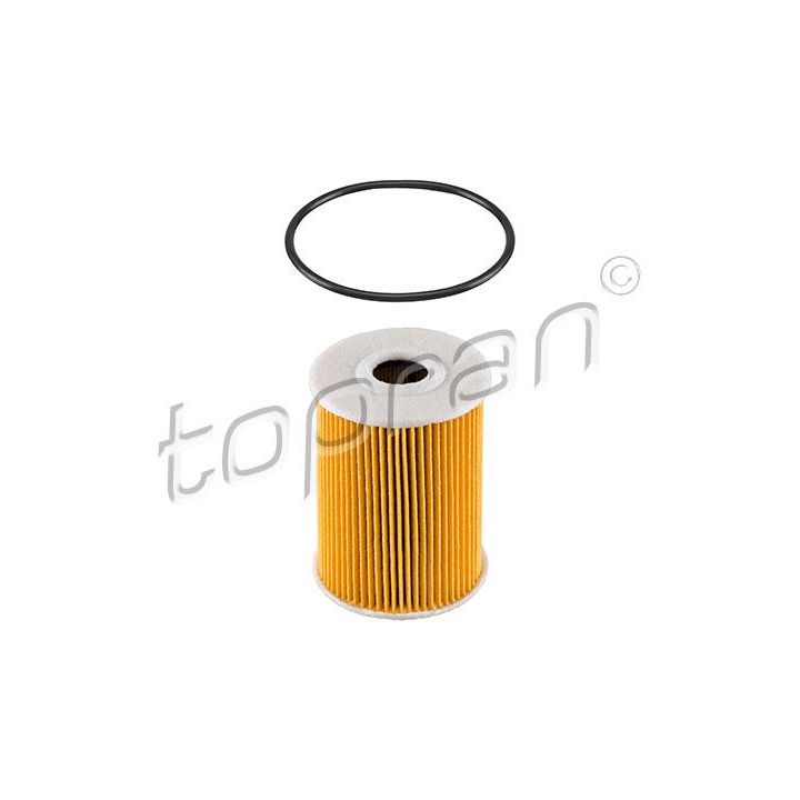 Alyvos filtras TOPRAN 207 591
