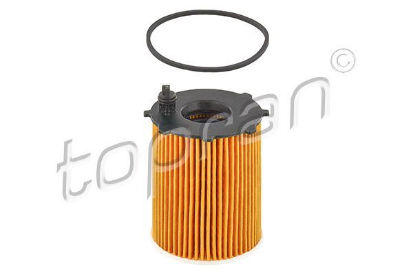 Alyvos filtras TOPRAN 302 133