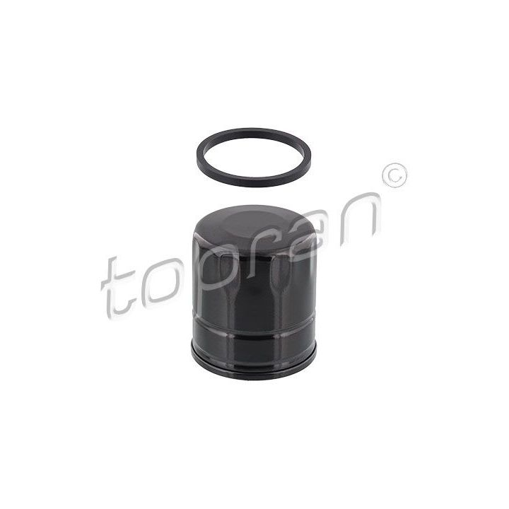 Alyvos filtras TOPRAN 302 134