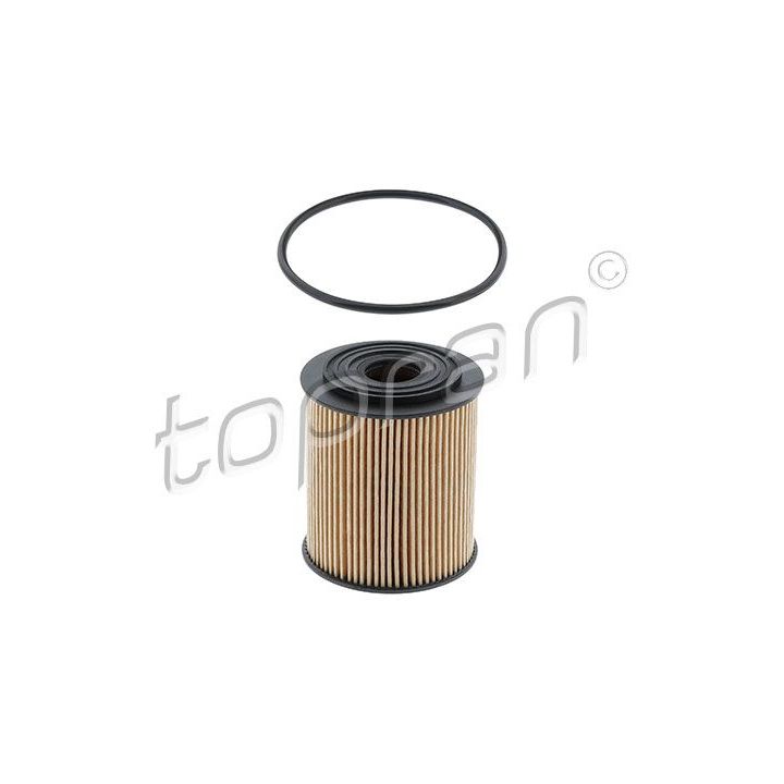 Alyvos filtras TOPRAN 501 071