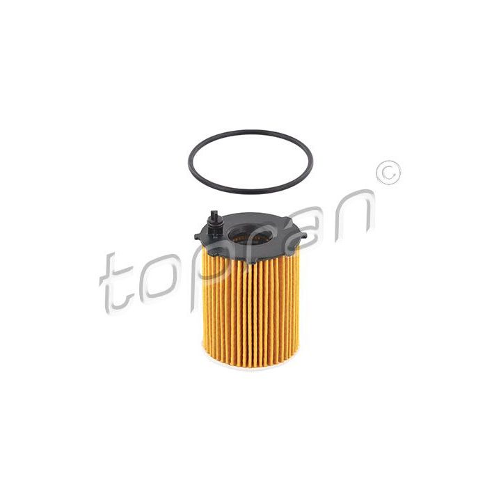 Alyvos filtras TOPRAN 600 481
