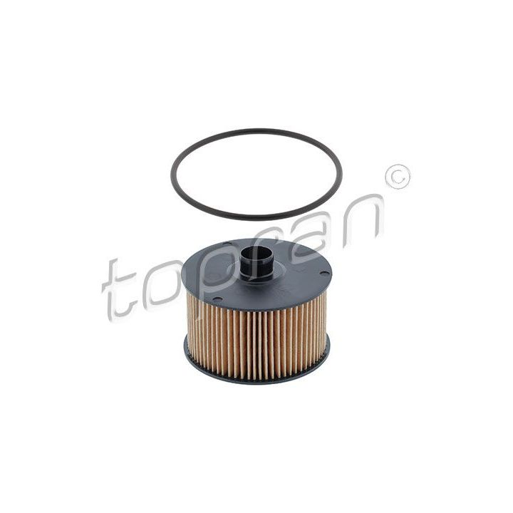 Alyvos filtras TOPRAN 701 062