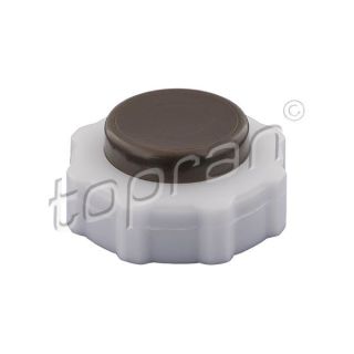 Dangtelis, radiatorius TOPRAN 700 431