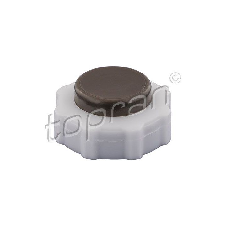 Dangtelis, radiatorius TOPRAN 700 431