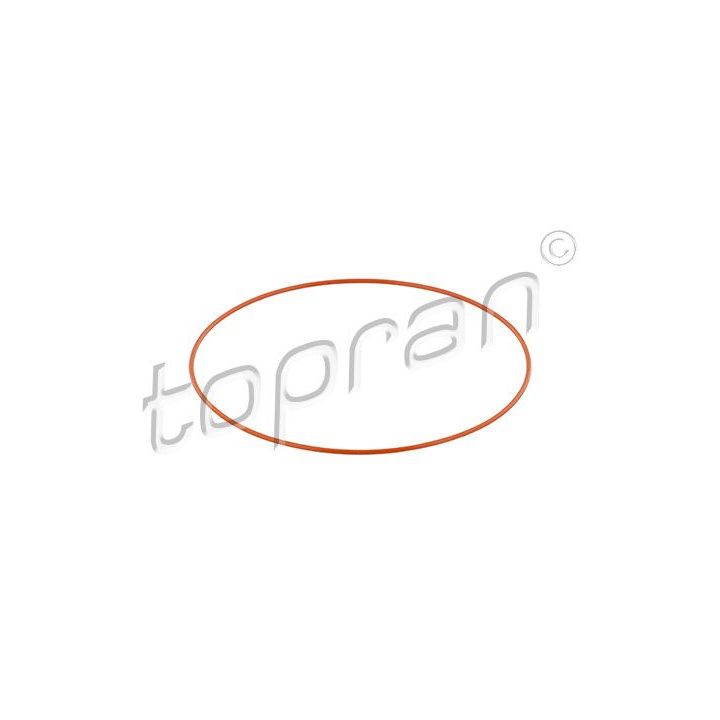 O žiedas, cilindro sraigtinė įvorė TOPRAN 722 202