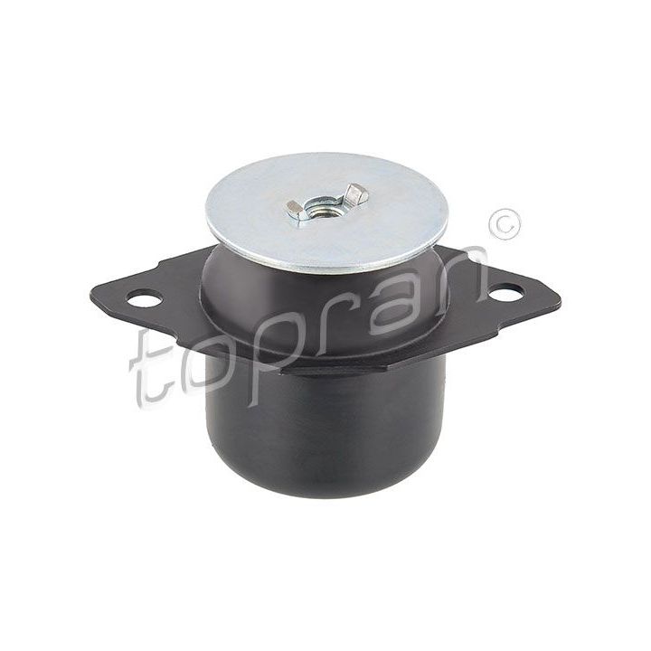 Variklio montavimas TOPRAN 103 458