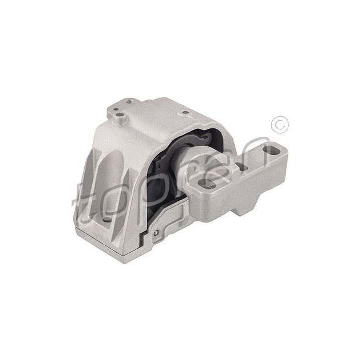 Variklio montavimas TOPRAN 107 977