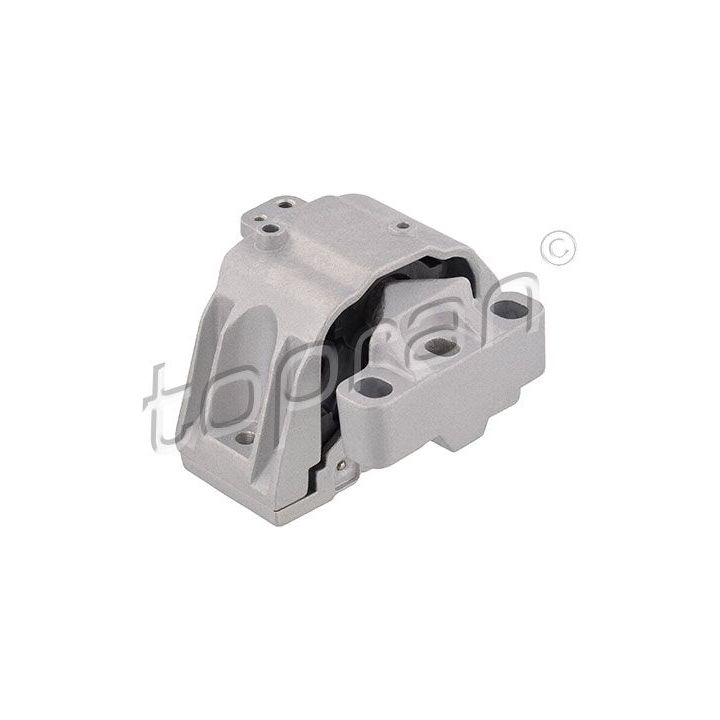 Variklio montavimas TOPRAN 107 979