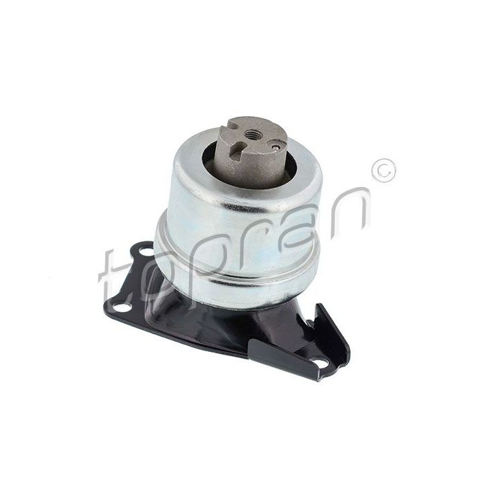 Variklio montavimas TOPRAN 115 111