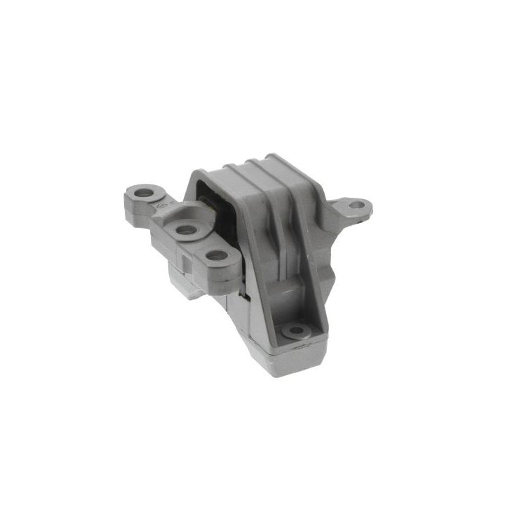 Variklio montavimas TOPRAN 206 573