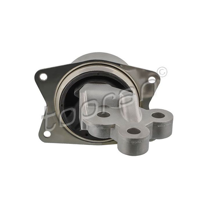 Variklio montavimas TOPRAN 206 576