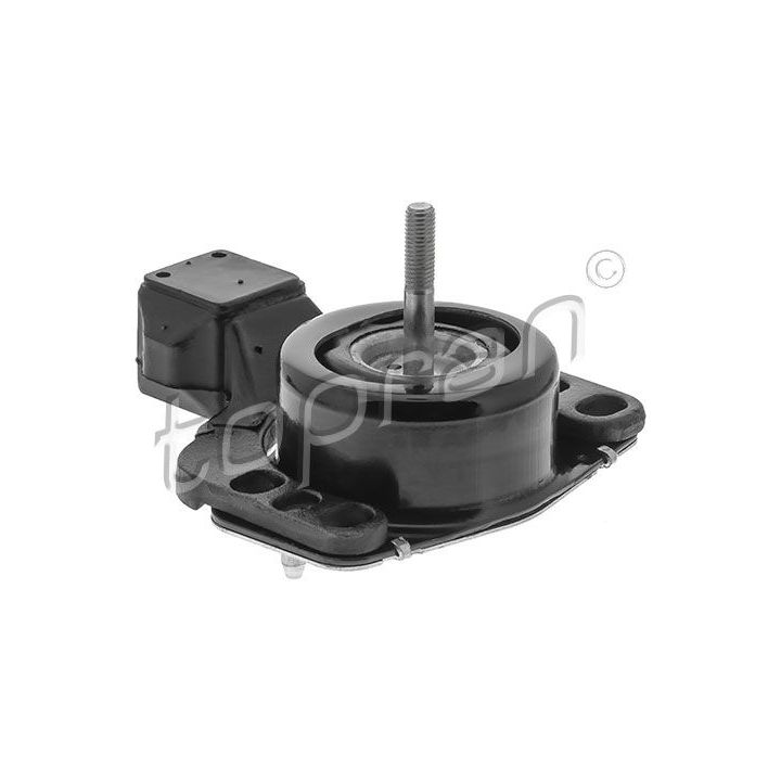 Variklio montavimas TOPRAN 207 756