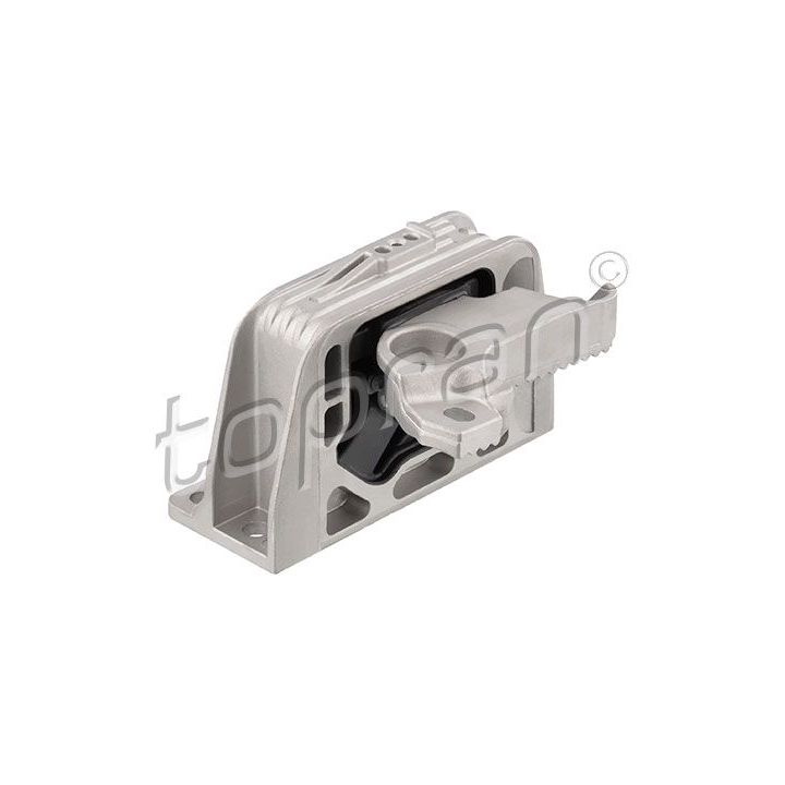 Variklio montavimas TOPRAN 208 194