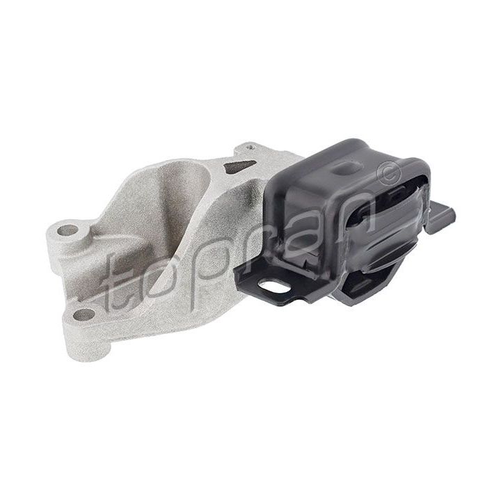 Variklio montavimas TOPRAN 409 015
