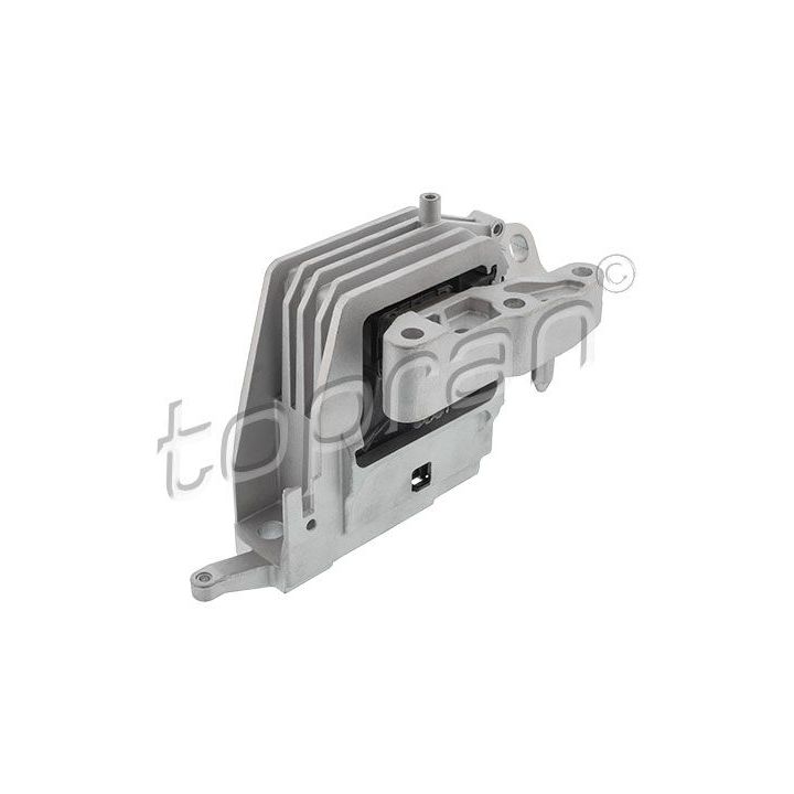 Variklio montavimas TOPRAN 504 300