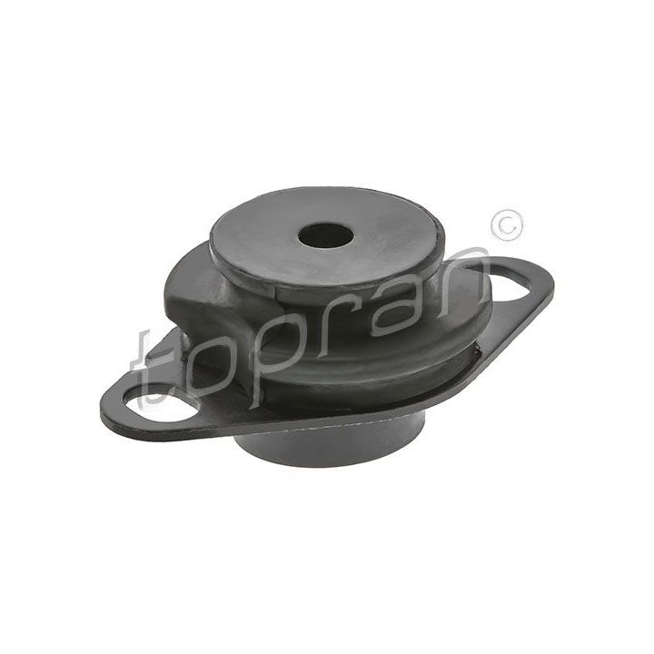 Variklio montavimas TOPRAN 700 218
