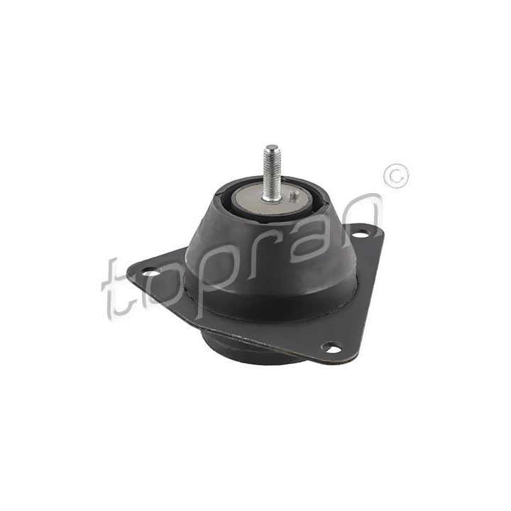 Variklio montavimas TOPRAN 700 324