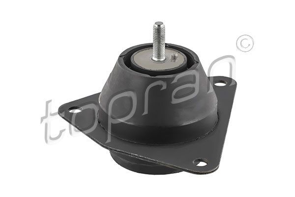 Variklio montavimas TOPRAN 700 324