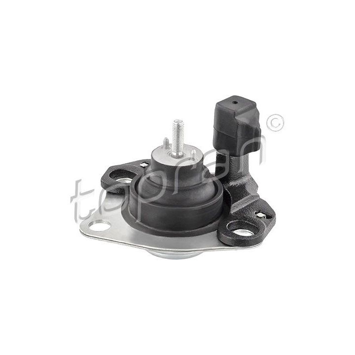 Variklio montavimas TOPRAN 700 327