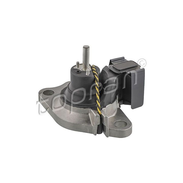 Variklio montavimas TOPRAN 700 529