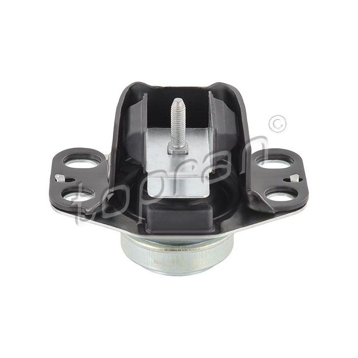 Variklio montavimas TOPRAN 700 530