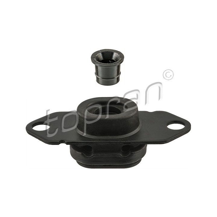 Variklio montavimas TOPRAN 701 048