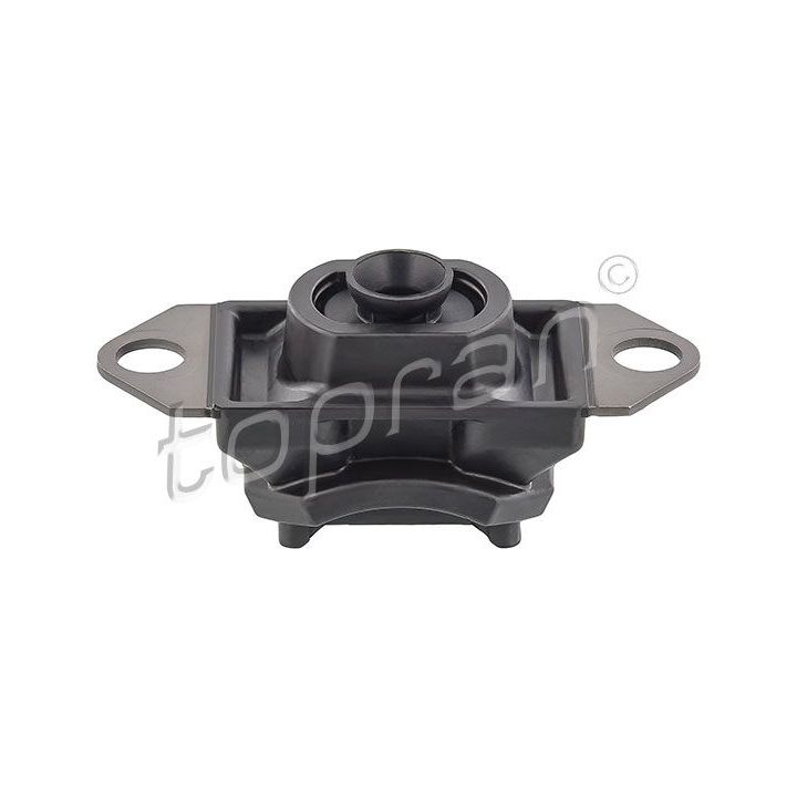 Variklio montavimas TOPRAN 701 085