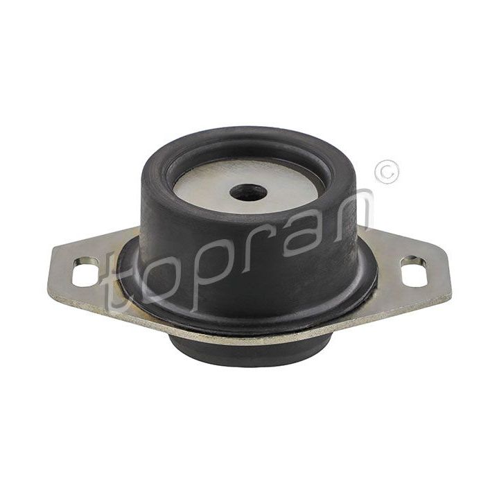 Variklio montavimas TOPRAN 720 189