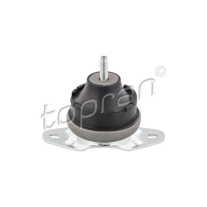 Variklio montavimas TOPRAN 720 380