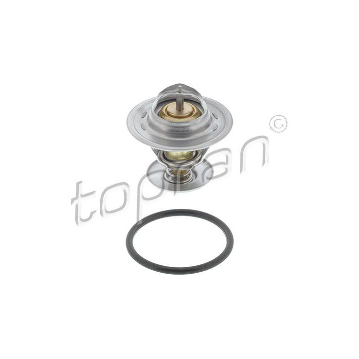 Termostatas, aušinimo skystis TOPRAN 111 166