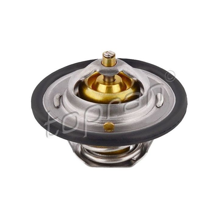 Termostatas, aušinimo skystis TOPRAN 300 030