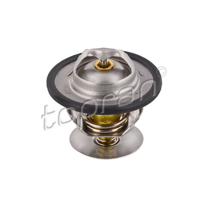 Termostatas, aušinimo skystis TOPRAN 300 405