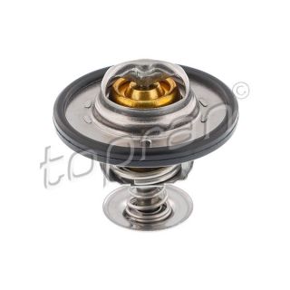 Termostatas, aušinimo skystis TOPRAN 302 141