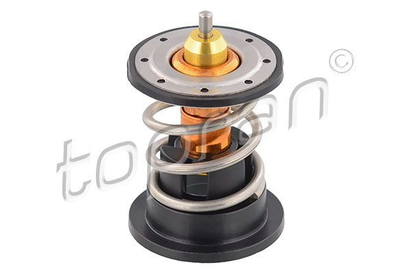 Termostatas, aušinimo skystis TOPRAN 503 055