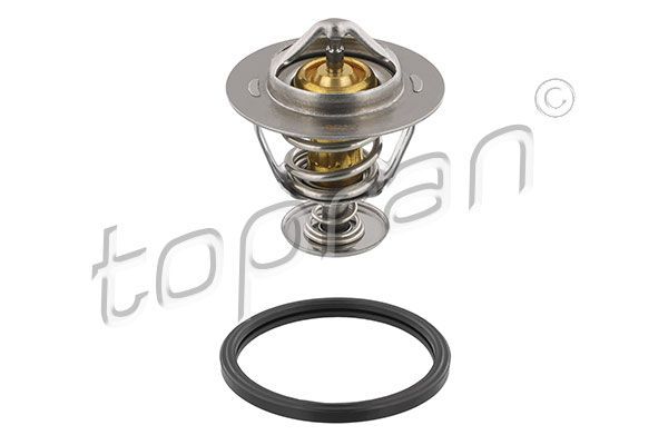 Termostatas, aušinimo skystis TOPRAN 630 301