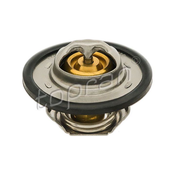 Termostatas, aušinimo skystis TOPRAN 700 171