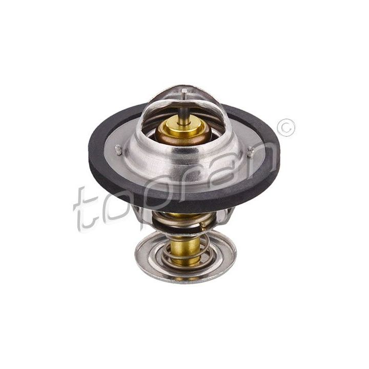 Termostatas, aušinimo skystis TOPRAN 720 180