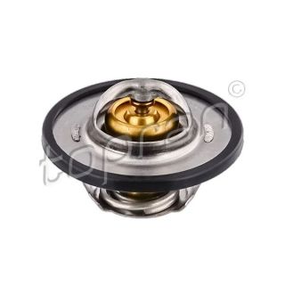 Termostatas, aušinimo skystis TOPRAN 720 750