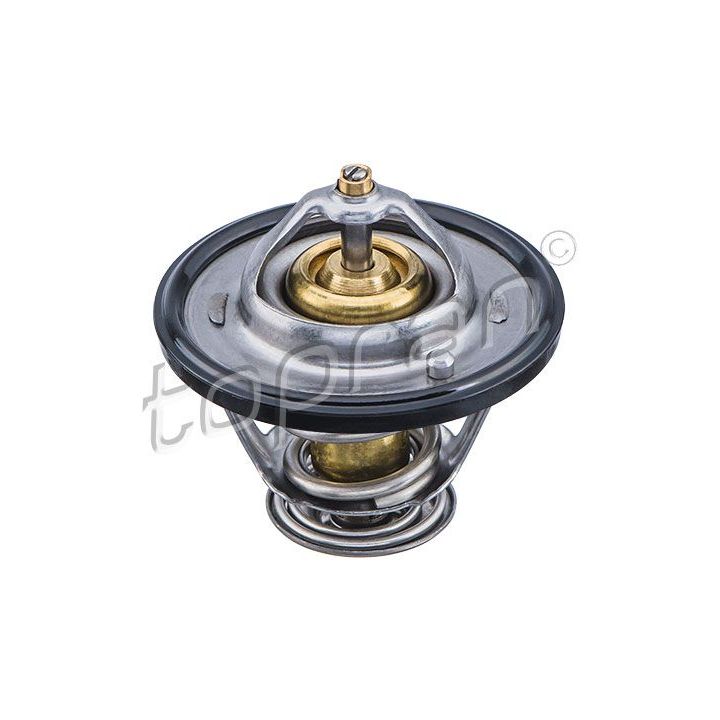 Termostatas, aušinimo skystis TOPRAN 820 304