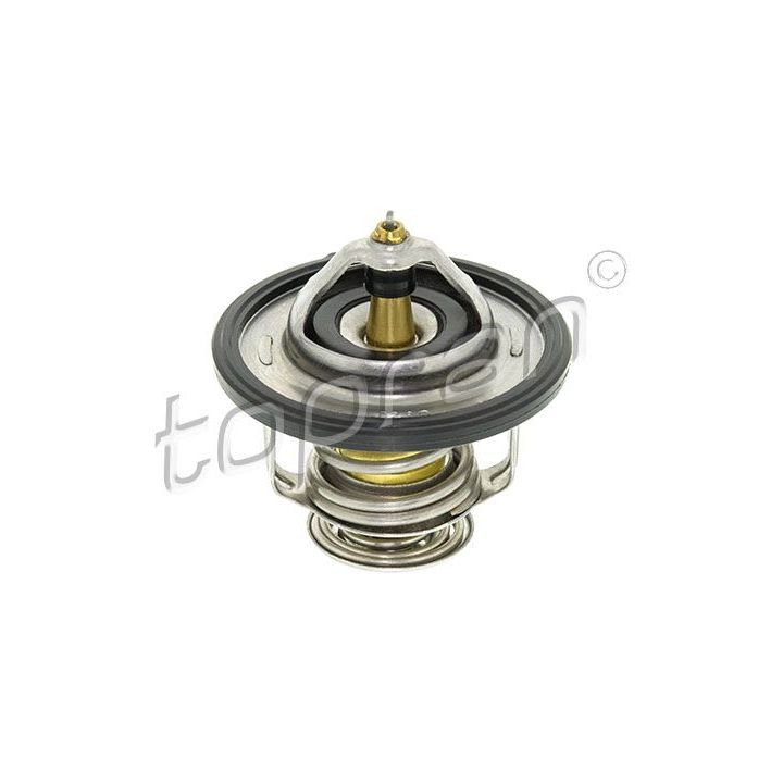 Termostatas, aušinimo skystis TOPRAN 820 305